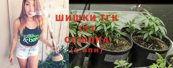 mdpv Горняк