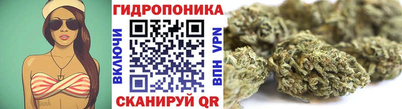 Шишки марихуана THC 21%  ОМГ ОМГ ссылка  Электрогорск 